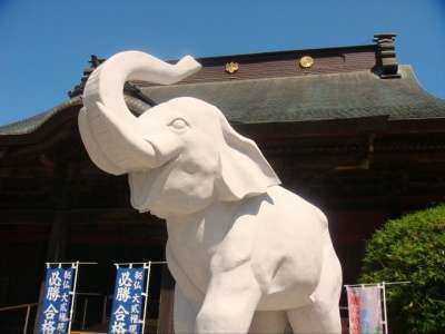 吉ゾウくん(･∀･)長福寿寺